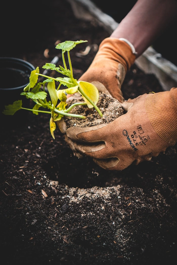 Soaking & Sowing