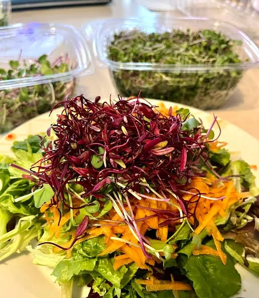 Salads & Fresh Bowls